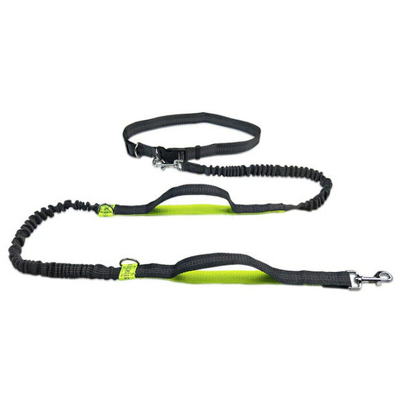 Reflective Hands-Free Dog Leash for Running with Elastic Belt, Jogging, and Metal D-Ring Harness