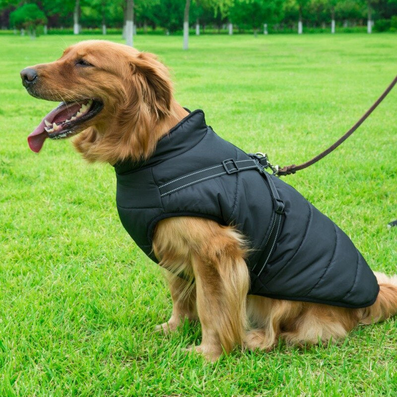 Winter Dog Jacket with Harness: Large, Warm, Waterproof Coat for Labrador, French Bulldog, and More