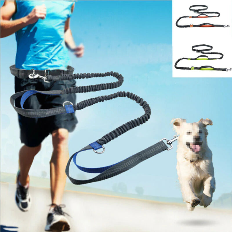 Reflective Hands-Free Dog Leash for Running with Elastic Belt, Jogging, and Metal D-Ring Harness