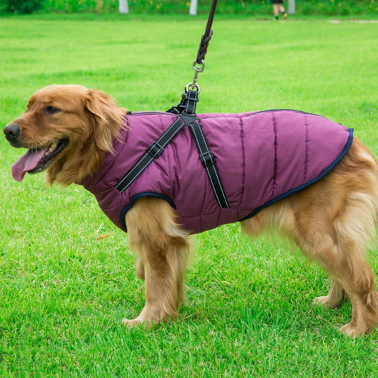 Winter Dog Jacket with Harness: Large, Warm, Waterproof Coat for Labrador, French Bulldog, and More