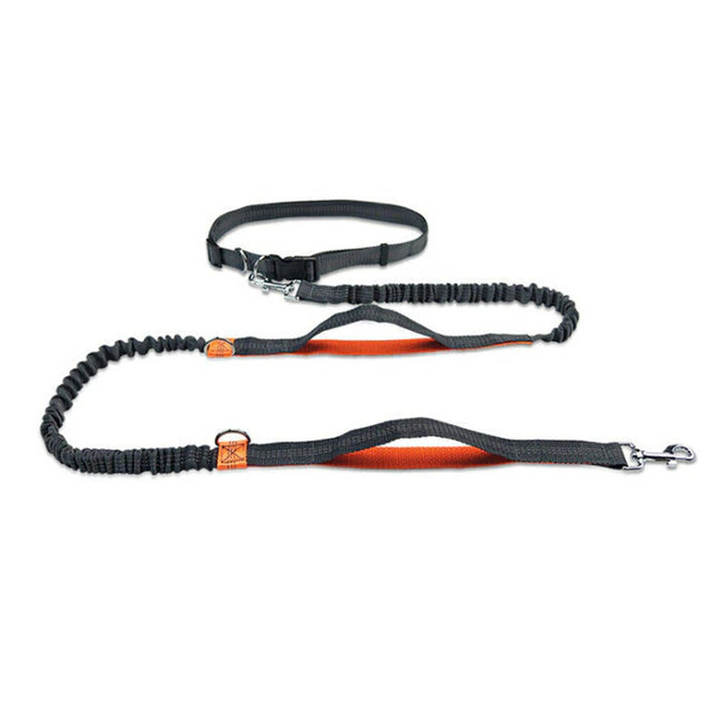 Reflective Hands-Free Dog Leash for Running with Elastic Belt, Jogging, and Metal D-Ring Harness