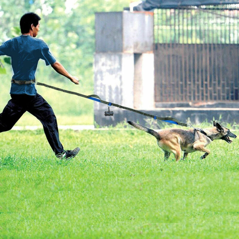 Reflective Hands-Free Dog Leash for Running with Elastic Belt, Jogging, and Metal D-Ring Harness