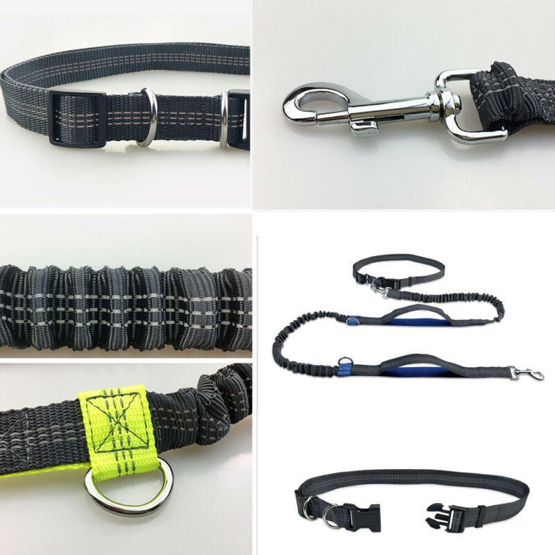 Reflective Hands-Free Dog Leash for Running with Elastic Belt, Jogging, and Metal D-Ring Harness